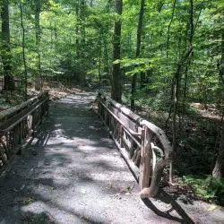 Walker Nature Center - Reston