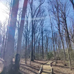 Walker Nature Center - Reston