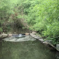 Walker Nature Center - Reston