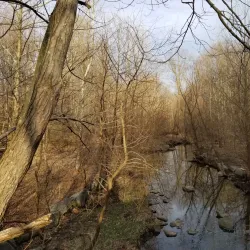Walker Nature Center - Reston
