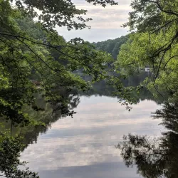 Walker Nature Center - Reston