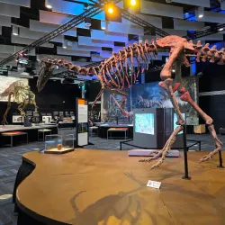 Science Museum of Virginia - Richmond