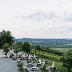 Bluemont Vineyard - Round Hill