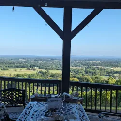 Bluemont Vineyard - Round Hill