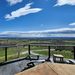 Bluemont Vineyard - Round Hill