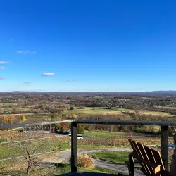 Bluemont Vineyard - Round Hill