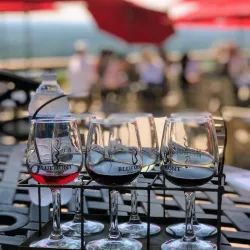 Bluemont Vineyard - Round Hill