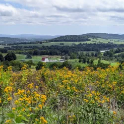 Sky Meadows State Park - Round Hill