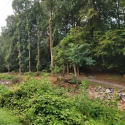 Washington & Old Dominion Railroad Regional Park (W&OD Trail) - Round Hill