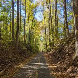 Washington & Old Dominion Railroad Regional Park (W&OD Trail) - Round Hill