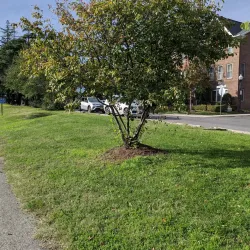 Washington & Old Dominion Railroad Regional Park (W&OD Trail) - Round Hill