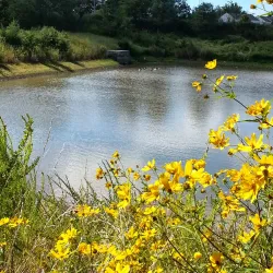 Trailside Park - South Riding