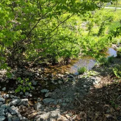 Trailside Park - South Riding