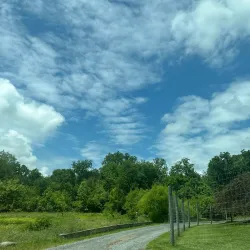 Willowsford Farm - South Riding