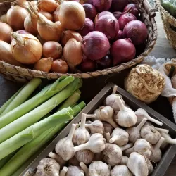 Willowsford Farm - South Riding