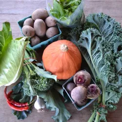 Willowsford Farm - South Riding