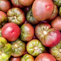 Willowsford Farm - South Riding