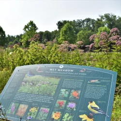 Willowsford Nature Preserve - South Riding