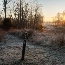 Willowsford Nature Preserve - South Riding