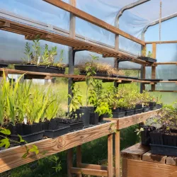 Willowsford Nature Preserve - South Riding