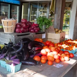 Willowsford Nature Preserve - South Riding