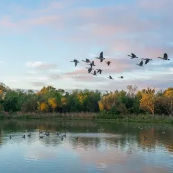 Willowsford Nature Preserve - South Riding