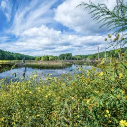 Caledon State Park - Stafford