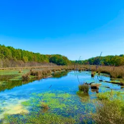 Caledon State Park - Stafford