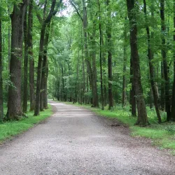 Caledon State Park - Stafford
