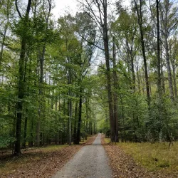 Caledon State Park - Stafford