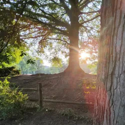 Embry Rucker Community Shelter - Stafford