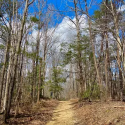 Stafford Civil War Park - Stafford