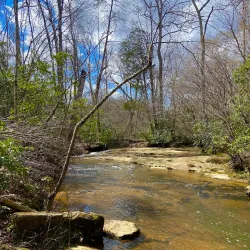 Stafford Civil War Park - Stafford