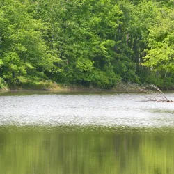 Widewater State Park - Stafford