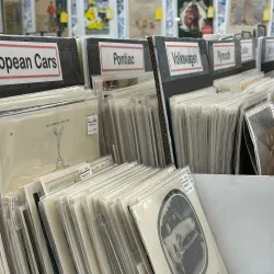 The Black Swan Antique Mall - Staunton