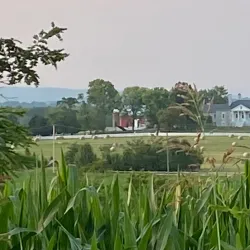 Belle Grove Plantation - Strasburg