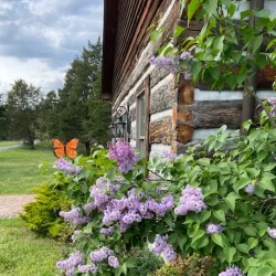 Historic Strasburg Walking Tour - Strasburg