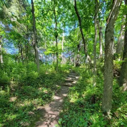 Historic Strasburg Walking Tour - Strasburg