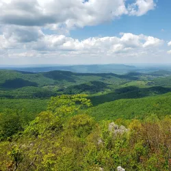 Shenandoah National Park - Strasburg