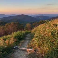 Shenandoah National Park - Strasburg