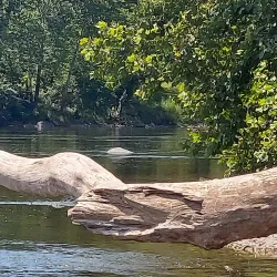 Shenandoah River State Park - Strasburg