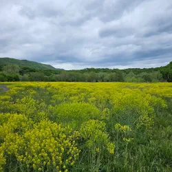 Shenandoah River State Park - Strasburg