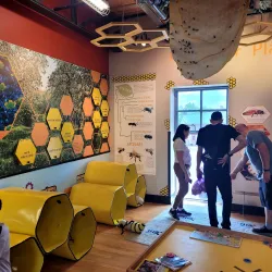 Shenandoah Valley Discovery Museum - Strasburg