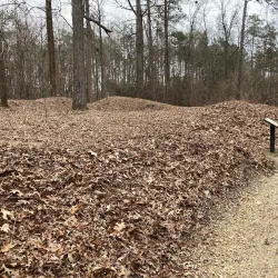 Parker's Battery Civil War Site - Suffolk
