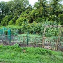 Nottoway Park - Vienna