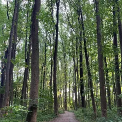 Nottoway Park - Vienna