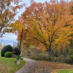 Nottoway Park - Vienna