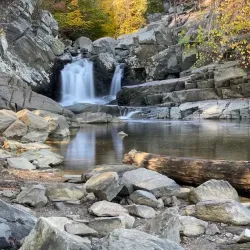 Scott's Run Nature Preserve - Vienna