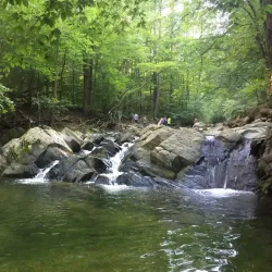 Scott's Run Nature Preserve - Vienna