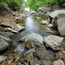 Scott's Run Nature Preserve - Vienna